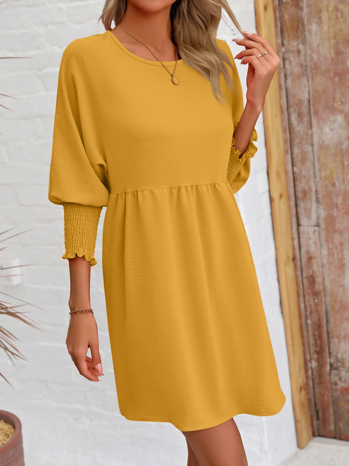 Lantern Sleeve Round Neck Mini Dress