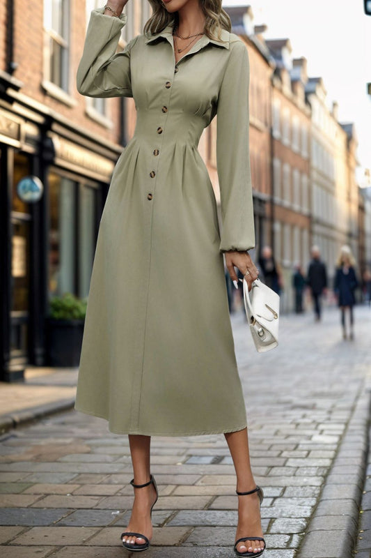 Long Sleeve Buttoned Down Collar Dress