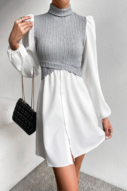 long sleeve turtleneck mini dress